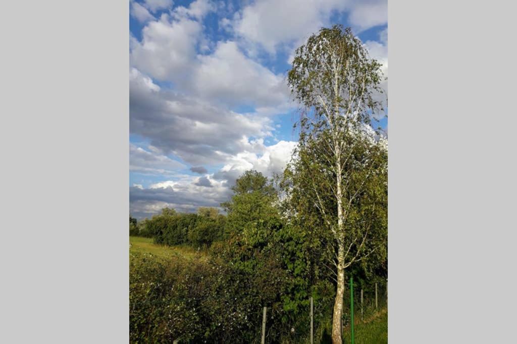 Entspannen Im Dorf Am See Zahren Kültér fotó